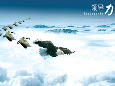 共贏領導力