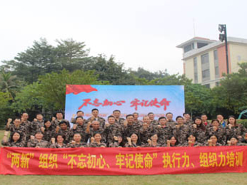 2019望牛墩鎮“兩新”組織黨員“不忘初心，牢記使命”執行力，組織力專題培訓班趣味活動